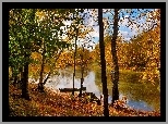Jesień, Drzewa, Rzeka, Łódka