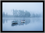 Łódki, Jezioro, Mgła