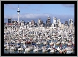 Nowa Zelandia, Auckland, Miasto, Jachty