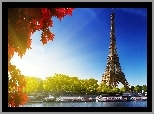 Wieża, Eiffla, Paryż, Czerwone, Liście