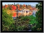 Kanada, Vancouver, Kolumbia Brytyjska, Zatoka, Stanley Park, Royal Vancouver Yacht Club, Drzewa, Jesień, Żaglówki