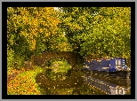 Anglia, Hrabstwo Worcestershire, Miasto Kidderminster, Park, Drzewa, Most, Barka, Rzeka, Kanał, Staffordshire and Worcestershire Canal, Jesień