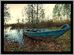 Bagno, Łódź, Drzewa, Jesień