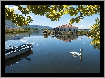 Łódka, Łabędź, Dom, Jezioro Kastoria, Grecja