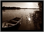 Las, Jezioro, Szuwary, Łódka, Przebijające, Światło, Sepia