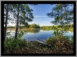 Łódka, Jezioro, Drzewa