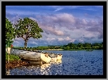 Szkocja, Jezioro Loch Ken, Drzewa, Łódki, Brzeg
