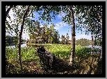 Jezioro, Drzewa, Trawy, Łódka