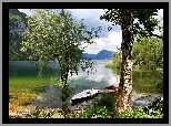 Park, Narodowy, Triglav, Gry, Jezioro, Bohinj, dki, Drzewa