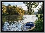 Jezioro, Łódka, Drzewa