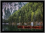 Włochy, Południowy Tyrol, Góry Dolomity, Drzewa, Jezioro Pragser Wildsee, Łódki