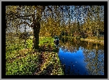 Park, Kanał, Łódka, Drzewa