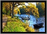 Łódka, Rzeka, Pomost, Park, Jesień