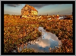 Rzeka, Dom, Łódka, Blask słońca, Rośliny, Thornham Old Harbour, Anglia