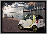 Smart Fortwo Electric Drive, 2011, Statki