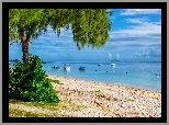 Wybrzeże, Plaża, Drzewa, Łódki, Boja