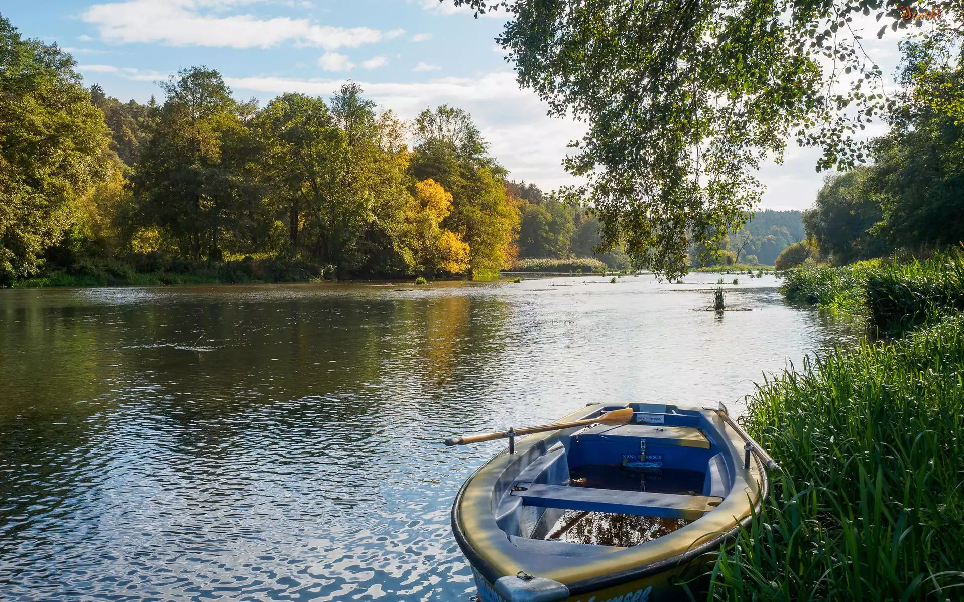 Jezioro, Łódka, Drzewa