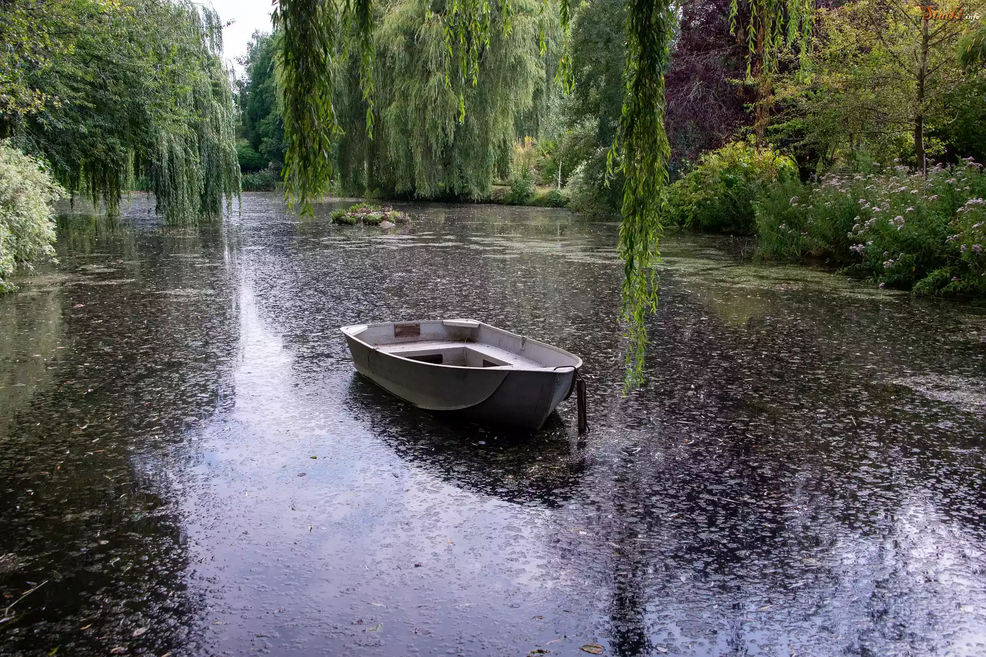 Łódka, Staw, Wierzby płaczące, Ogród, Gooderstone Water Gardens,
Gooderstone, Norfolk, Anglia