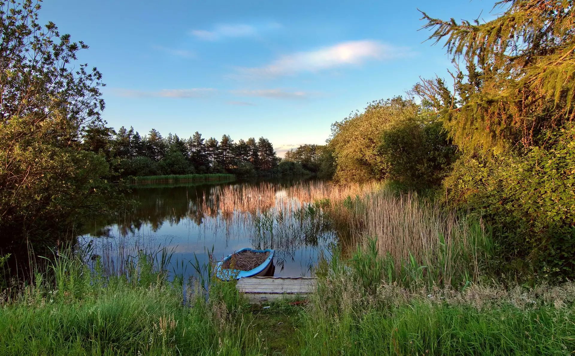 Jezioro, Szuwary, Łódka