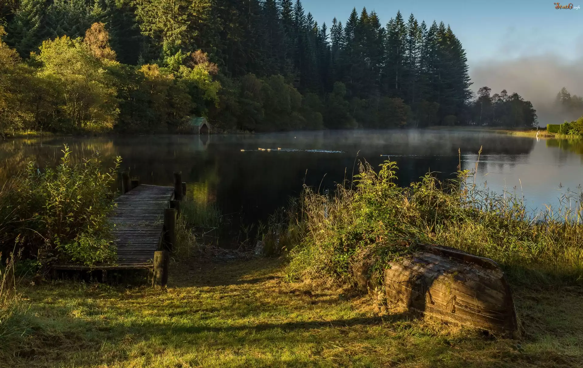 Szkocja, Trossachs, Jezioro, Wieczór, Las, Łódź, Pomost, Zarośla