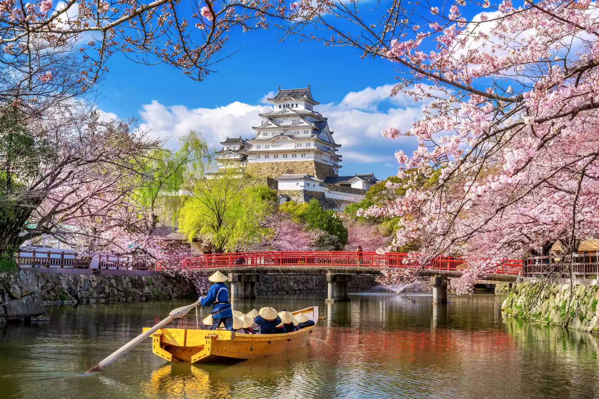 Zamek Himeji, Zamek Białej Czapli, Rzeka, Łódka, Wiosna, Kwitnące, Drzewa, Miejscowość Himeji, Japonia